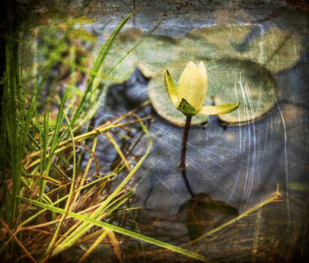 From the Darkness Into the&nbsp;Light