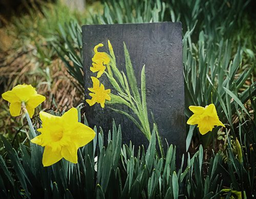 A Love for&nbsp;Daffodils