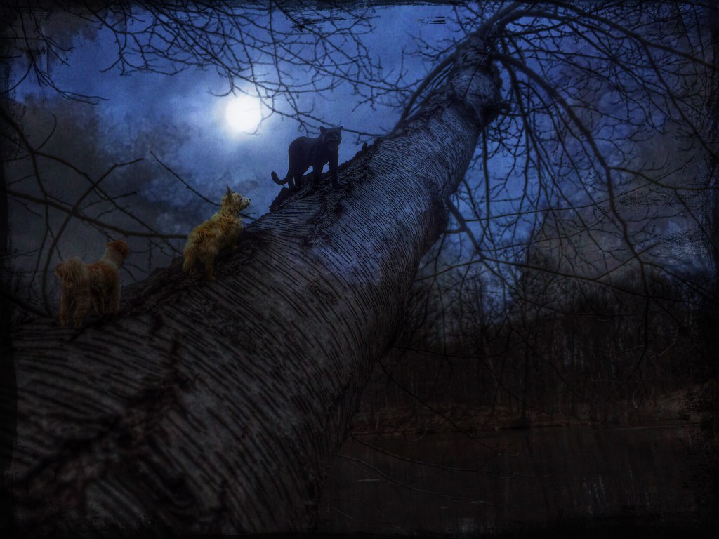 Dark Feminine Speaks