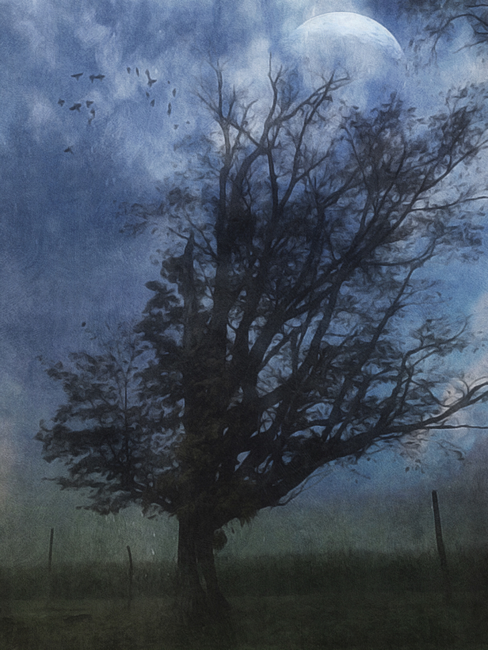 Quarantine in the Age of&nbsp;Covid